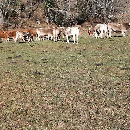 Lejlighed El Sauco Arasan